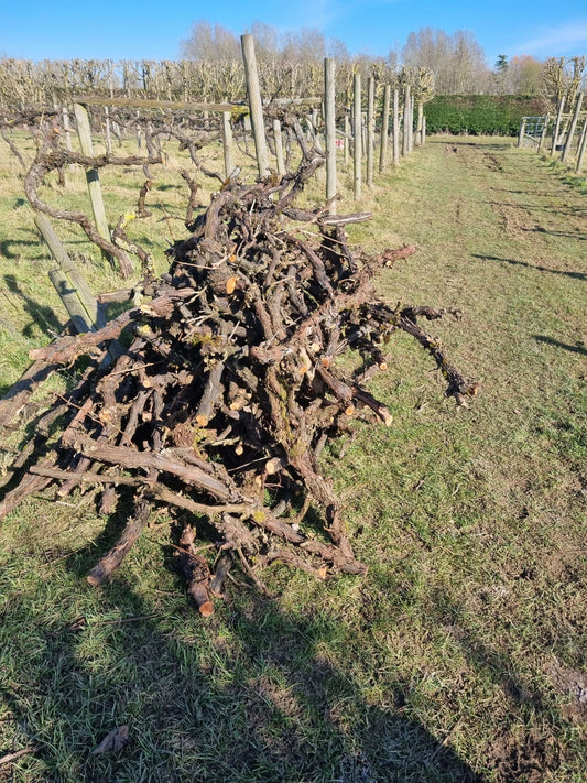 Pruning in March