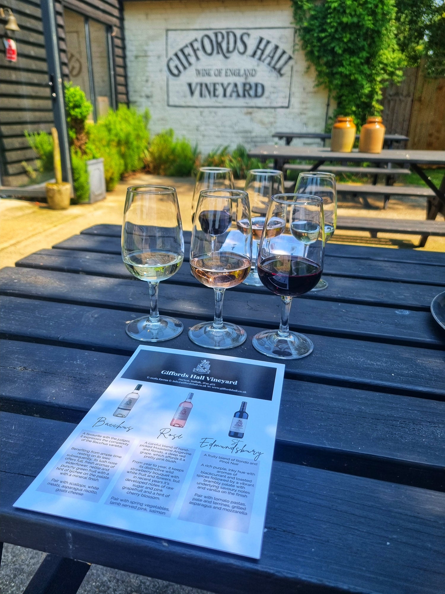 Private Vineyard Tours & Tastings for Small Groups Giffords Hall Vineyard