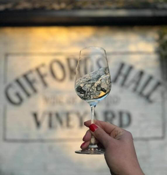 Giffords Hall Vineyard