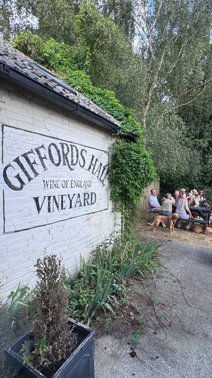 Cellar Door Friday Giffords Hall Vineyard