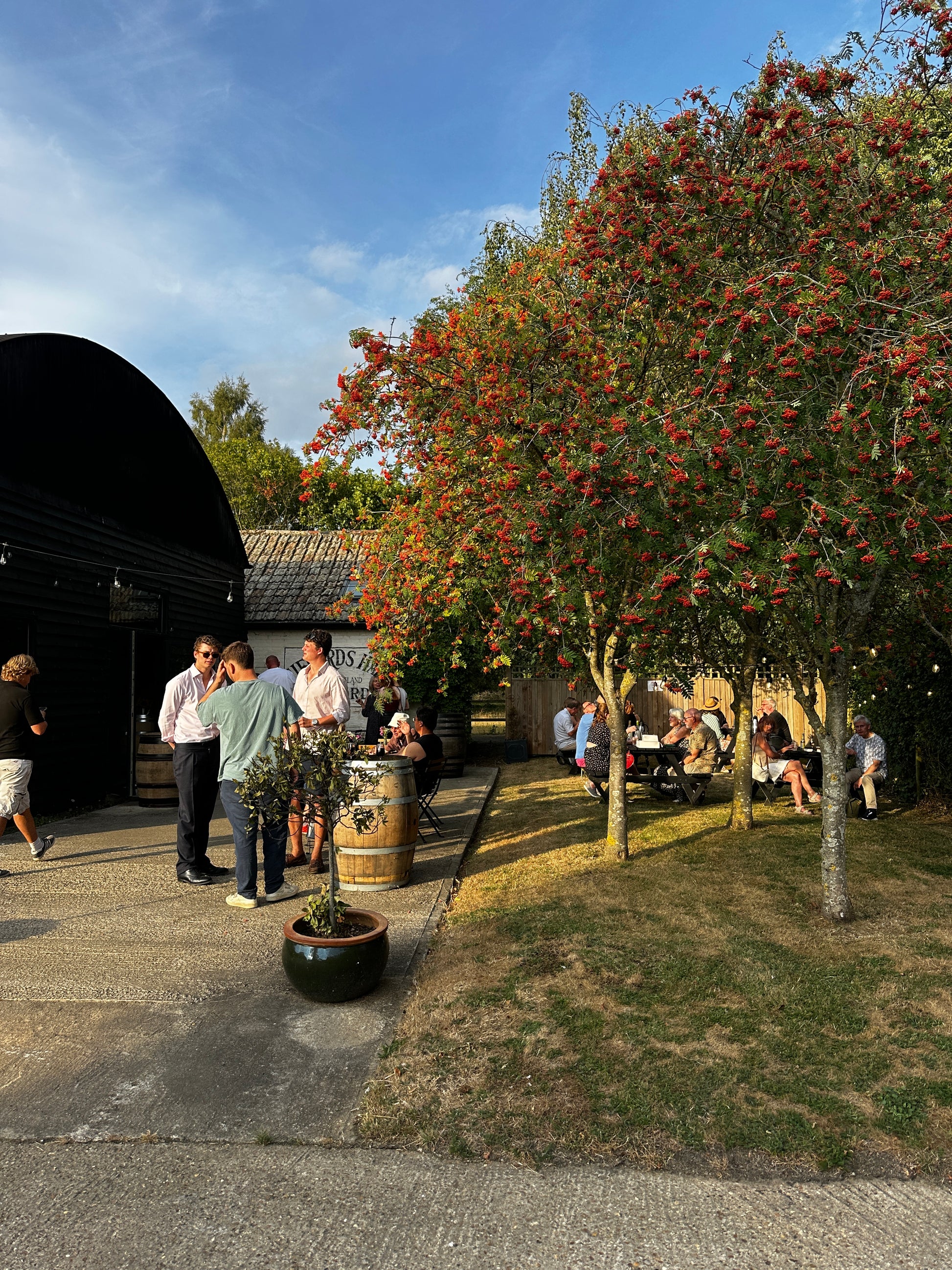 Cellar Door Friday Giffords Hall Vineyard